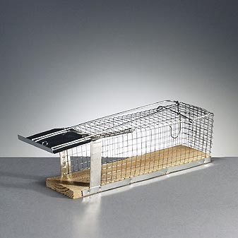 Mit Speck fängt man Mäuse. In dieser Falle lebend.