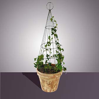 Pflanzgestell bzw. Rankhilfe Kegel Die Pflanzen 1-2 mal im Jahr entsprechend der Form trimmen.