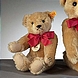 Steiff-Teddy Classic 1909 25cm Der Steiff-Teddy ist 100 Jahre alt!